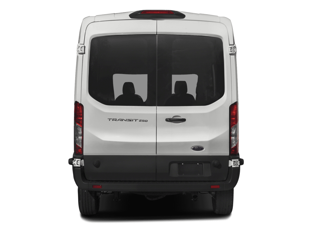 2018 Ford Transit Van T-250 130" Med Rf 9000 GVWR Dual Dr - Rear (full)