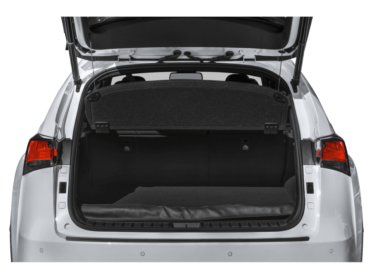 2018 Lexus NX NX 300 F Sport - Interior Trunk with Hatch Open Feature