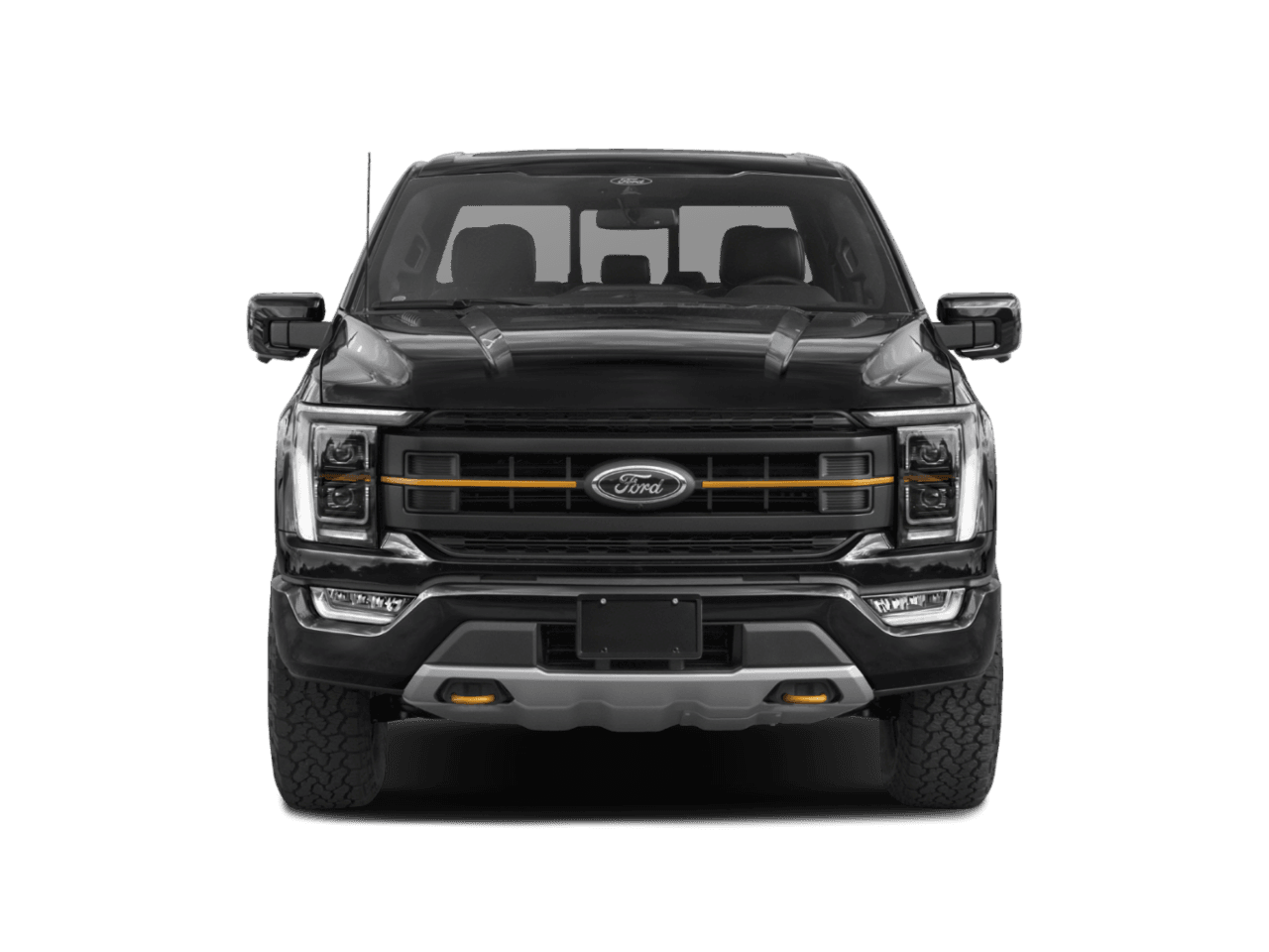 2021 Ford F-150 Tremor - Front (full)