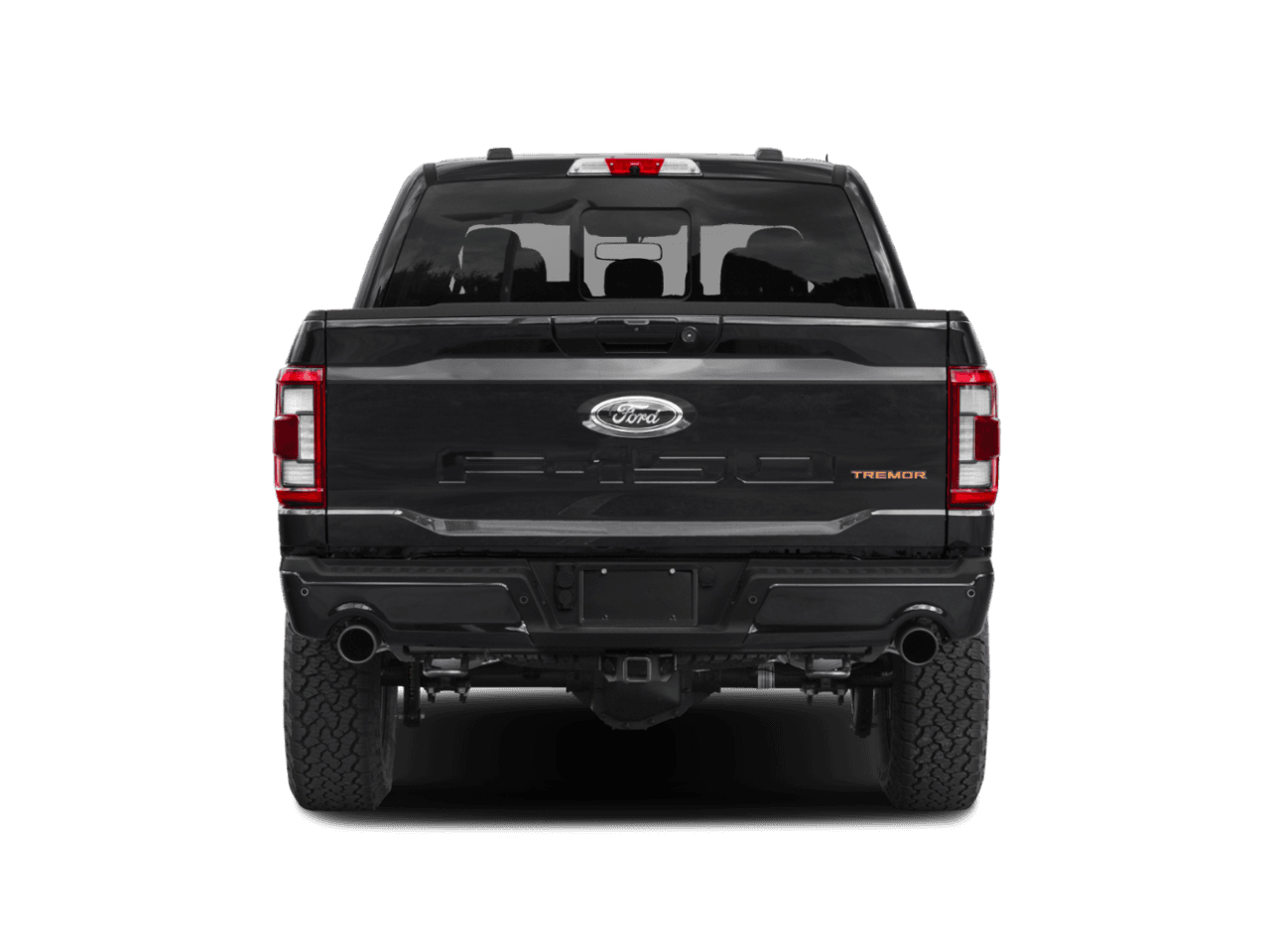 2021 Ford F-150 Tremor - Rear (full)
