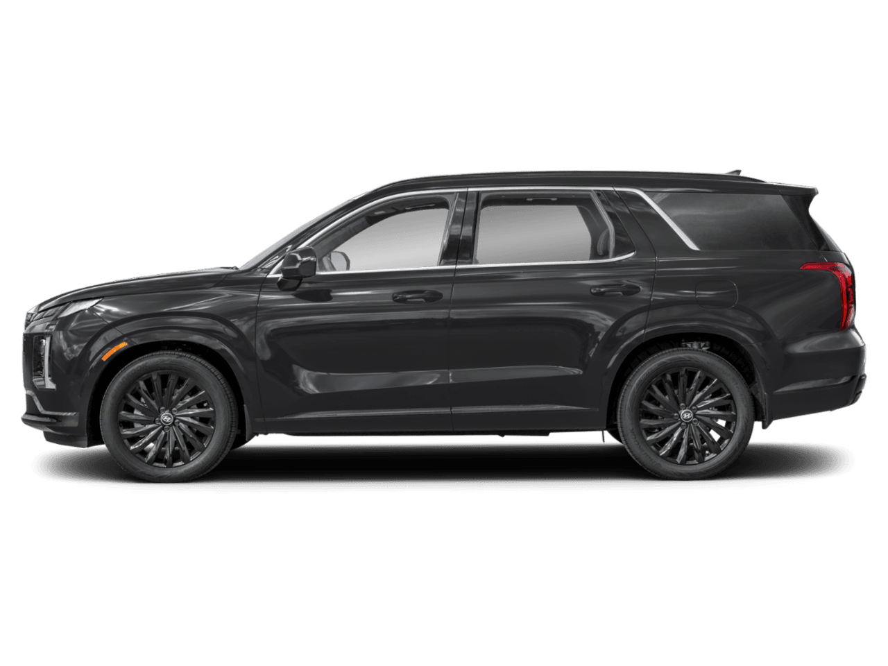 2025 Hyundai Palisade Calligraphy Night Edition - Profile, facing to the left