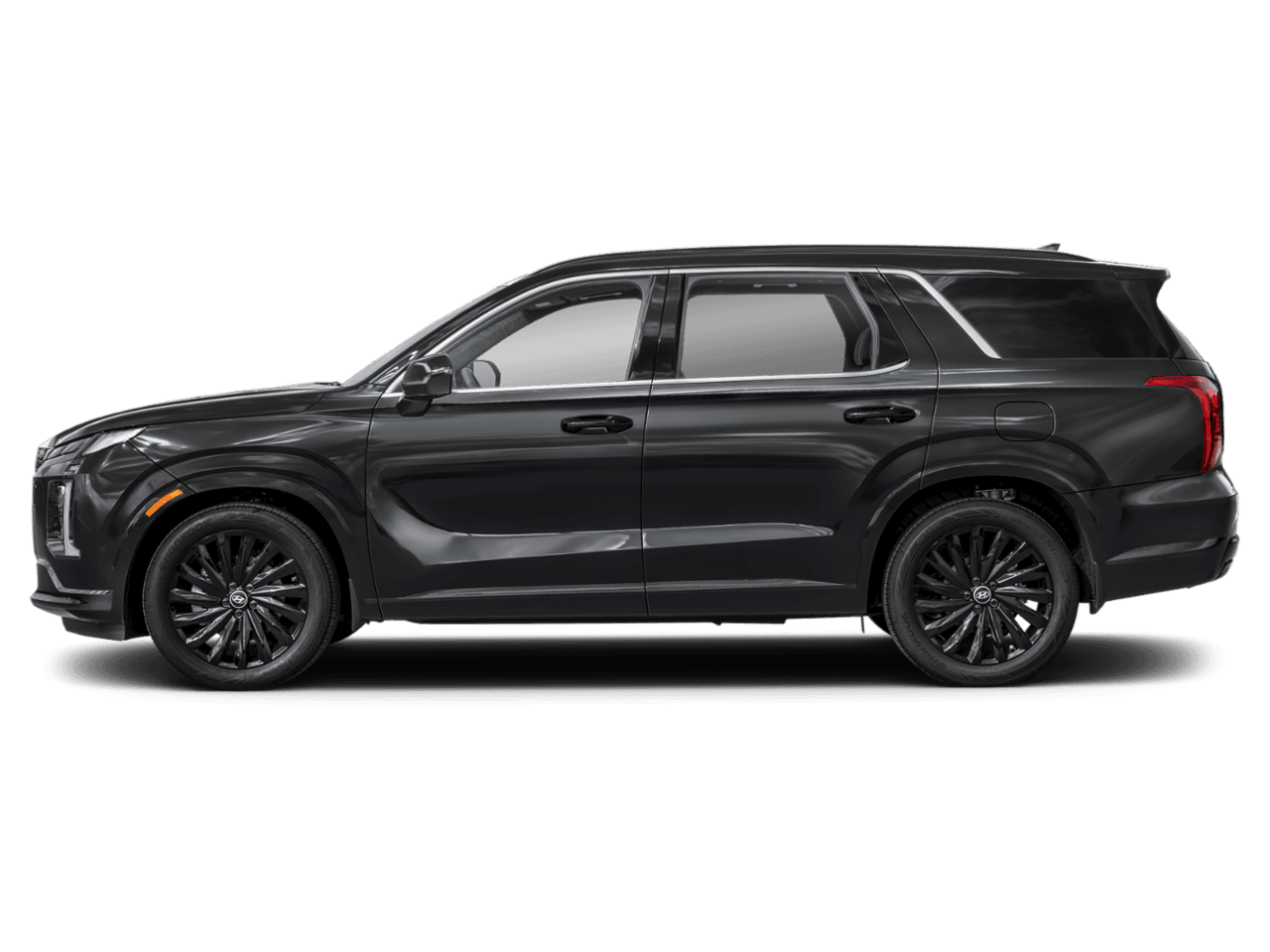 2025 Hyundai Palisade Calligraphy - Profile, facing to the left